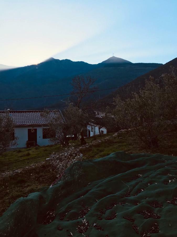 "Casa Do Avo Patricio" Mountain Experience Villa Parada  Eksteriør bilde